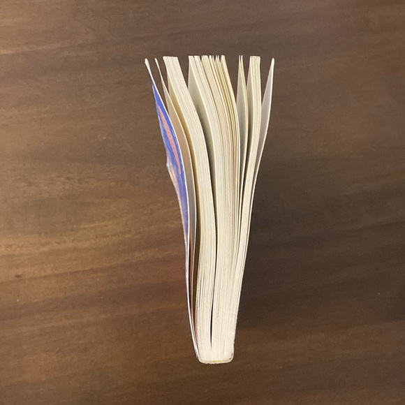 Bitter Bonds: A Colonial Divorce Drama of the Seventeenth Century (2002) - Picture 8 of 8